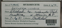 Image Associated With the Occurence